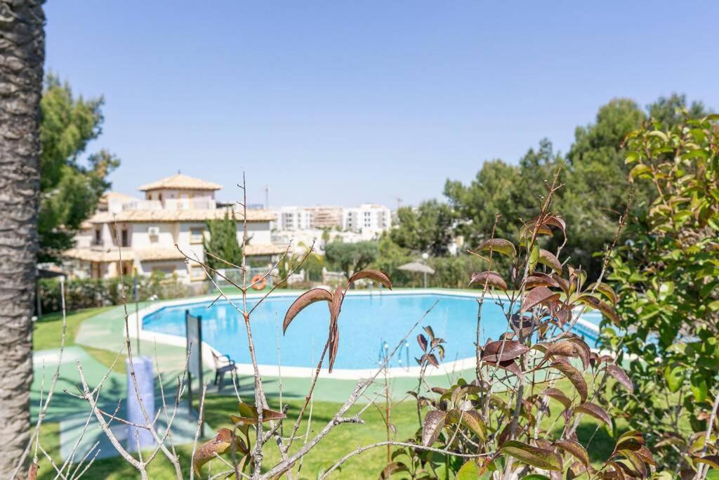 Casa Lilly-Rose, A Beautiful 3 Bedroom Detached Villa A Short Walk To The Villamartin Plaza & Golf Course Exterior foto
